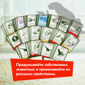 Настольная игра ПРАВИЛЬНЫЕ ИГРЫ 13-01-01 Эволюция